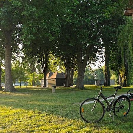 *Gite Aux Grappes Du Pressoir* A 2 Km De Beauval Seigy Exteriér fotografie