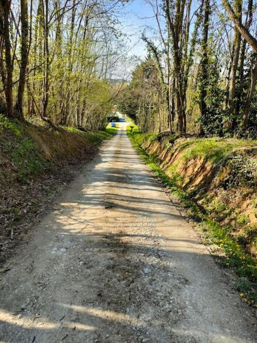 *Gite Aux Grappes Du Pressoir* A 2 Km De Beauval Seigy Exteriér fotografie