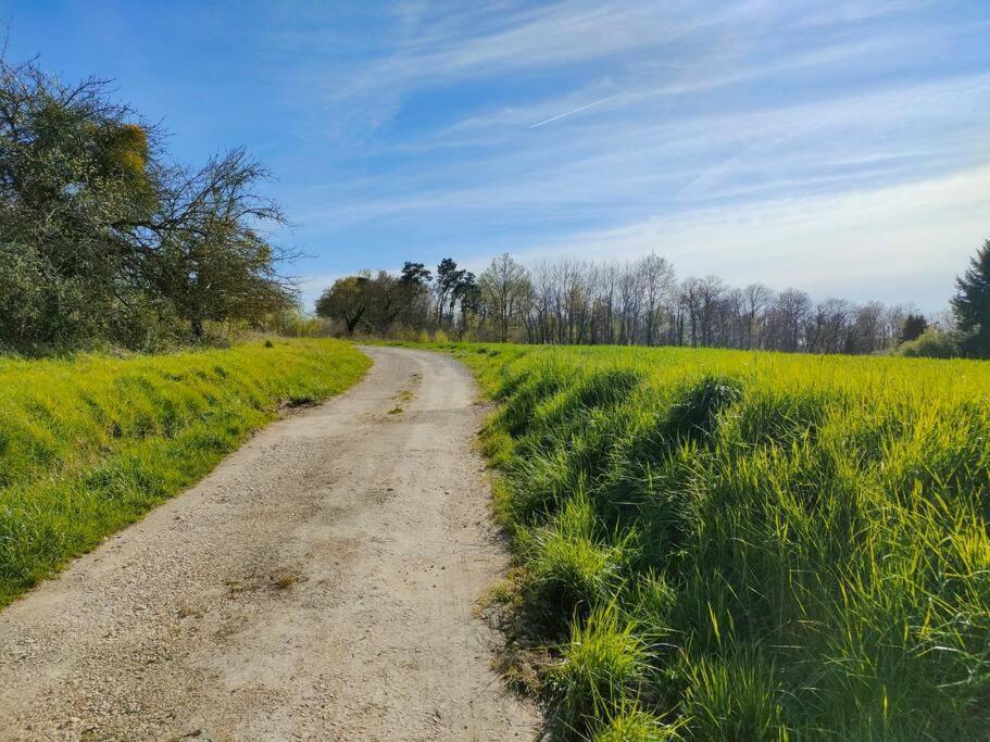 *Gite Aux Grappes Du Pressoir* A 2 Km De Beauval Seigy Exteriér fotografie