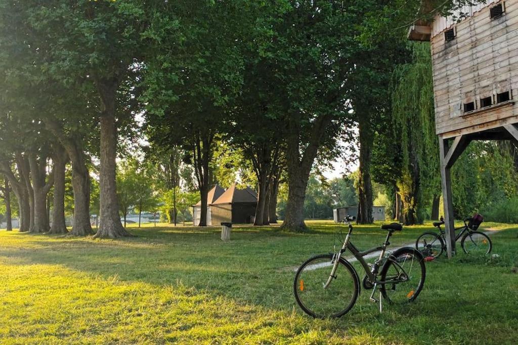 *Gite Aux Grappes Du Pressoir* A 2 Km De Beauval Seigy Exteriér fotografie